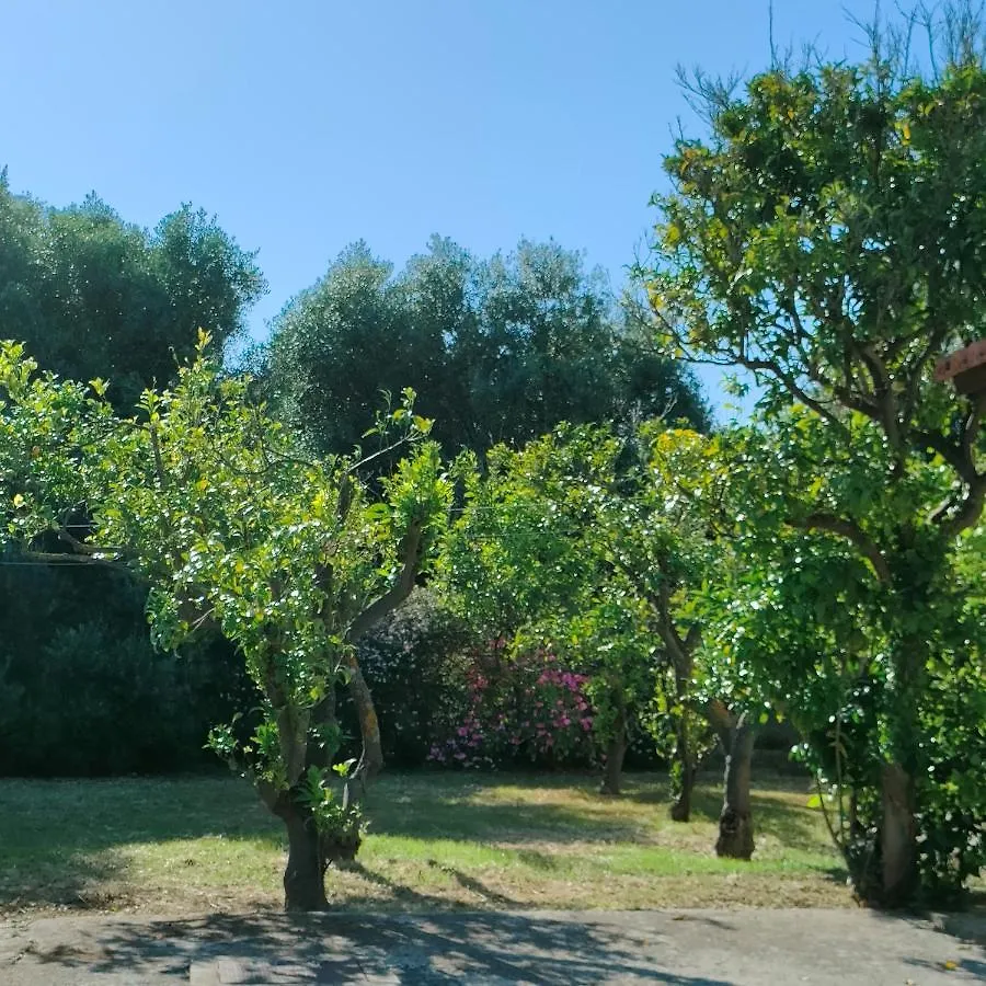 Cozy Cottage With Garden And Olive Grove Of 5 Acr Mavrata 0*,
